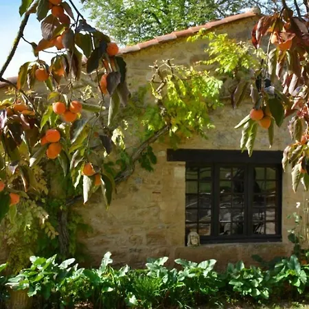 Апартаменты Chateau Camp Del Saltre Prayssac